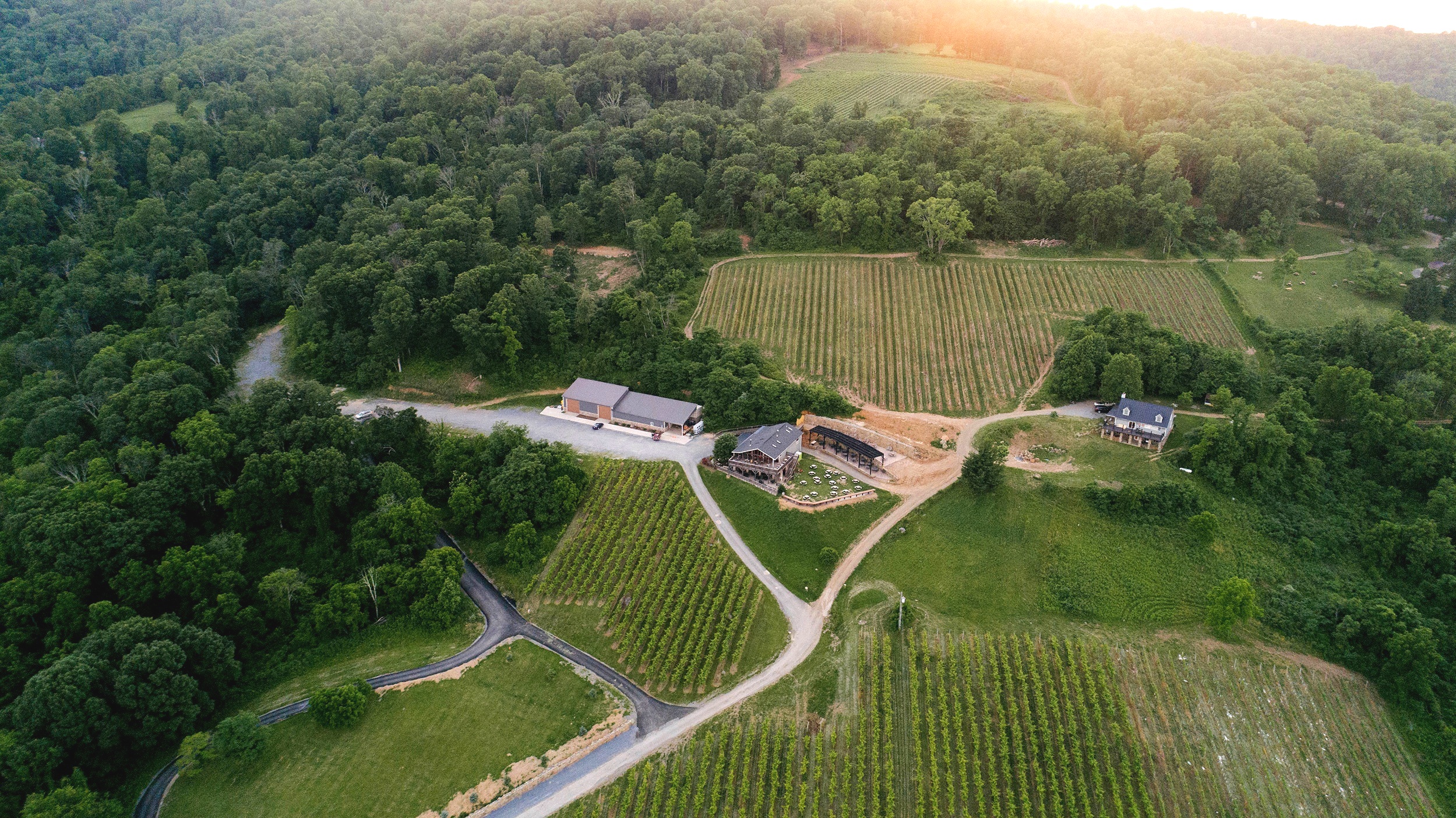 Bluemont Vineyard