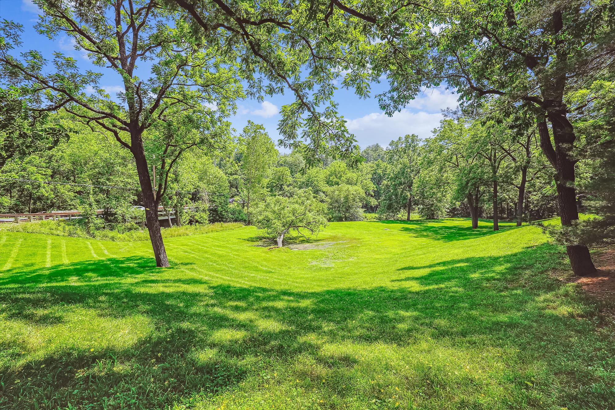 Exterior Back Yard Dsc5372