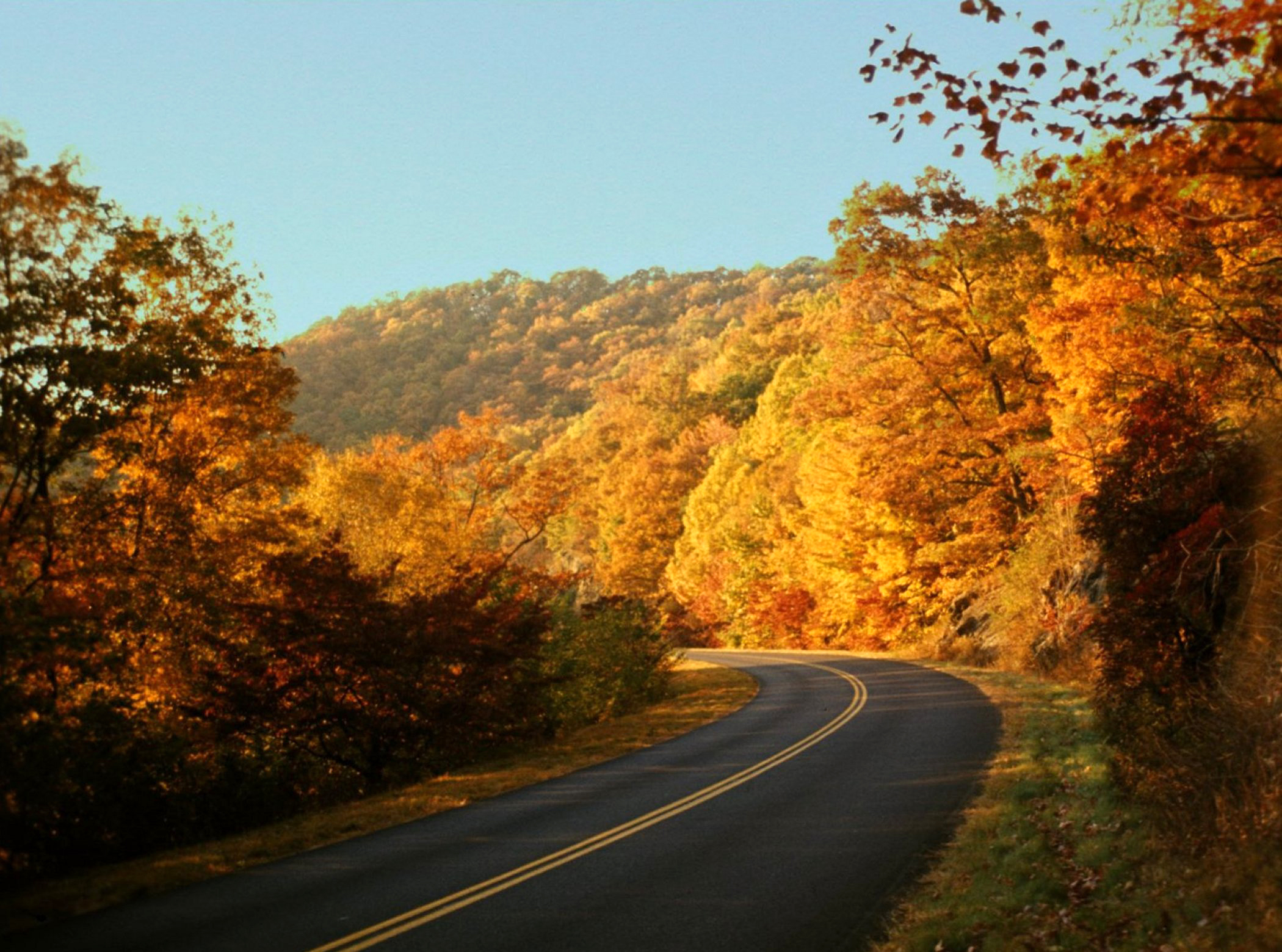 Callaway, Virginia | My Site